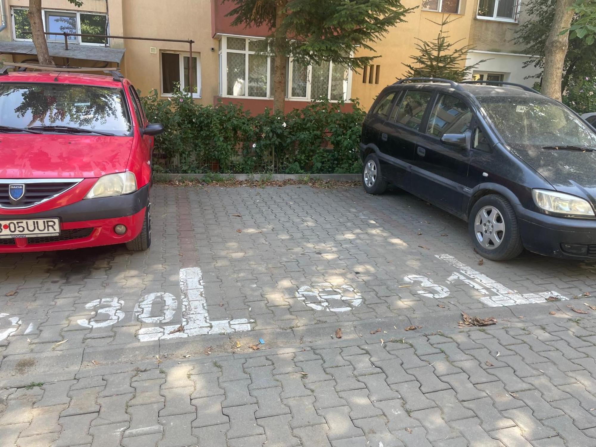 Kitty Sunflower Apartment Alba Iulia Esterno foto